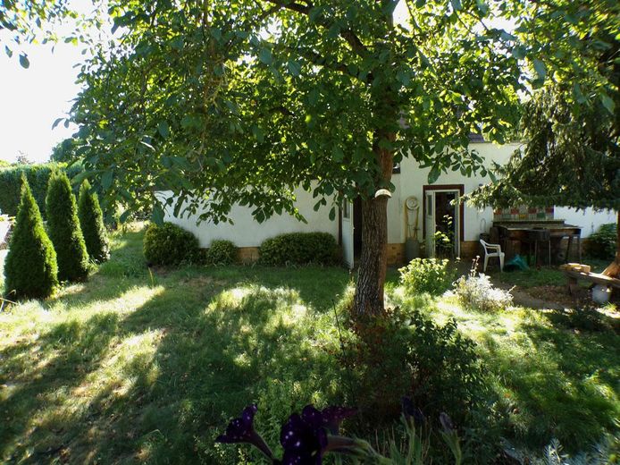 Natur. Ruhe. Bungalow auf Eckgrundstück mit unverbaubarem Ausblick – provisionsfrei! – 07_Nebengebäude_Wallnussbaum