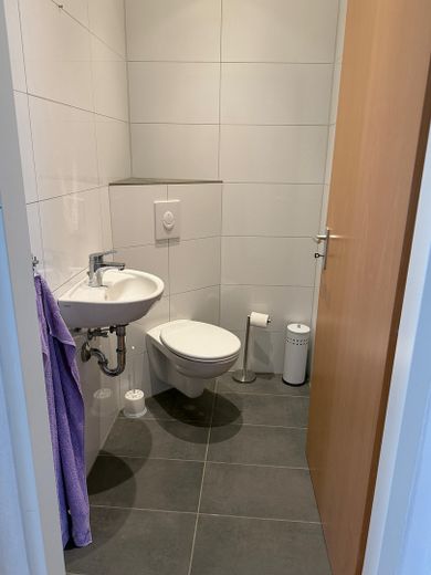 Großfamilienparadies mit großem Grundstück und zu prüfender Entwicklungsperspektive – Gäste-WC