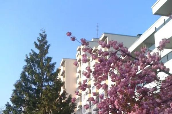 1-pokojowe studio w atrakcyjnej lokalizacji