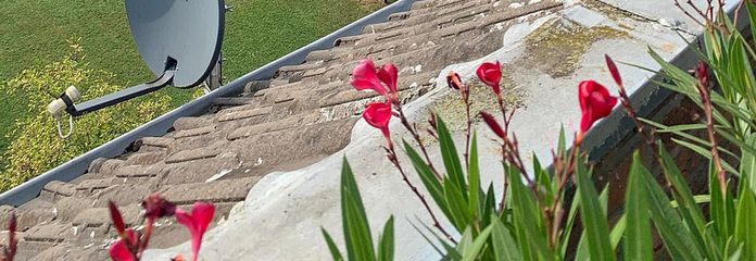 Blick ins Grüne vom Balkon