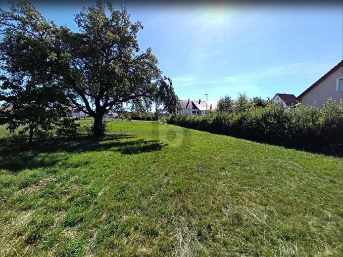NATUR PUR MIT 1.770 QM FREIRAUM – Foto 1