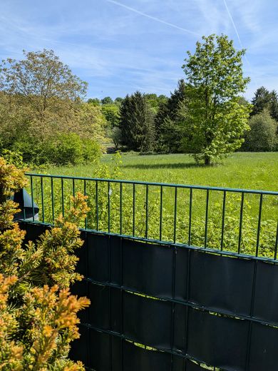 Ausblick Garten 