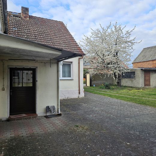 Hofanlage mit Wohnhaus, Scheune & ca. 5.000 m² Land – provisionsfrei – Scheune und Wiese