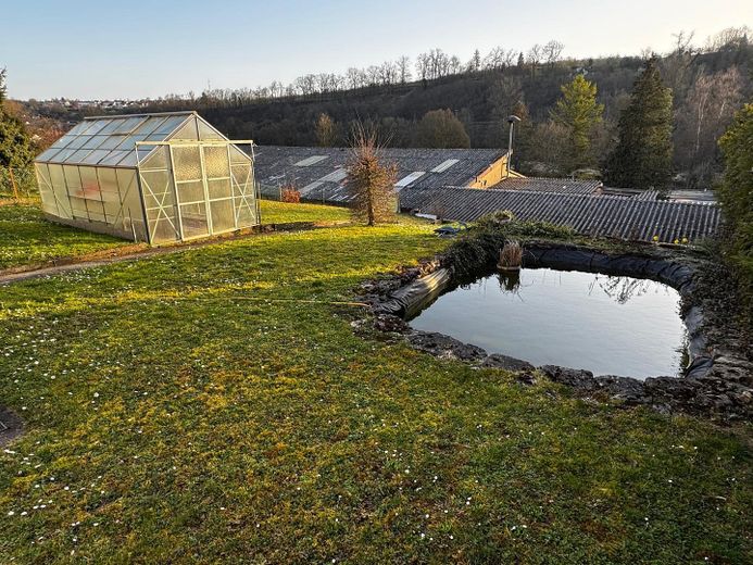 Garten mit Gewächshaus