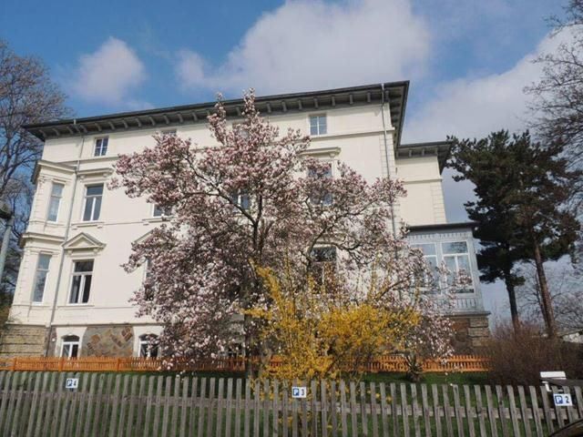 Gemütliche DG 2-Zimmer mit Aufzug und Stellplatz in Villa am Park! – 22553746_1959158420767603_1182074681_o