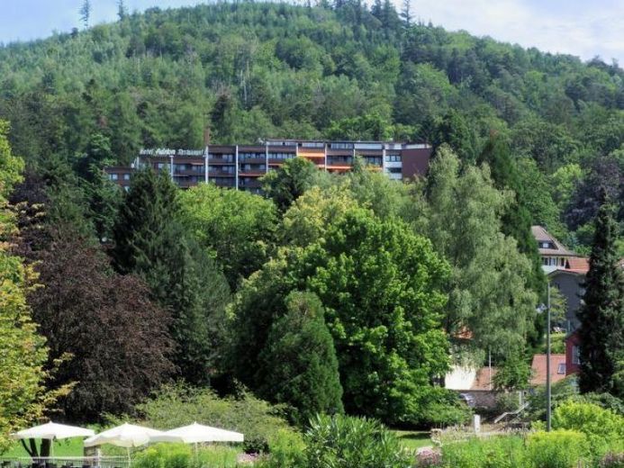 Attraktive Wohnung inklusive Schwimmbadnutzung! – Foto 1