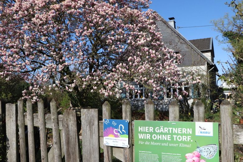 Frühling mit Magnolienblüte