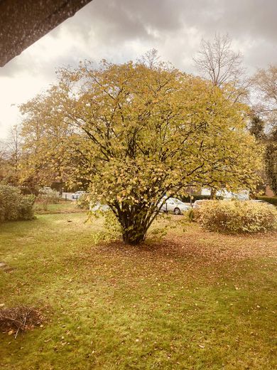 1 A - POSIZIONE - Possibilità di nuova costruzione - in una casa solida e indipendente con giardino esposto a sud-ovest ad Amburgo-Nord – Foto 1