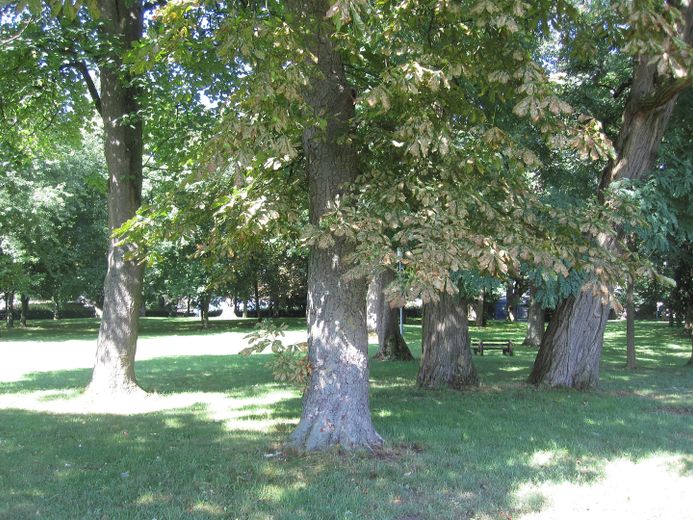 einzigartiges GUTSHAUS in halbrunder Bauweise Nähe Müritz – Foto 13
