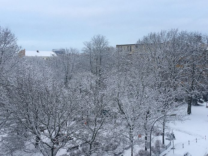 TRAUMLAGE Großzügige 6-Zi-Altbauwohnung (ca. 200 m²) im Herzen des geschichtsträchtigen Bayerischen Viertels von privat – Foto 4