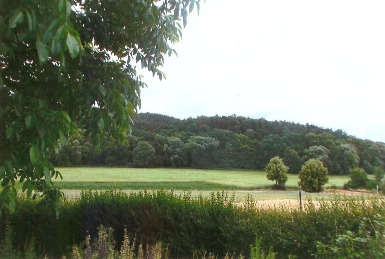 Aussicht v. Garten 