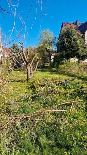 Bleicherode, EFH + Nebengeb. – Foto 5