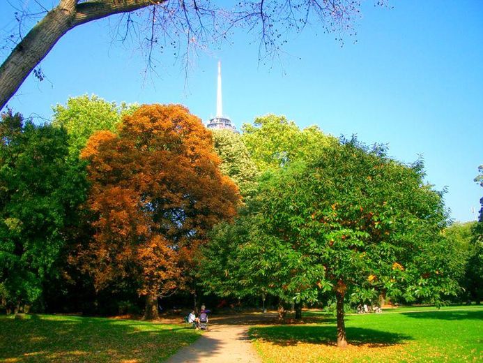 Direkt am Stadtgarten