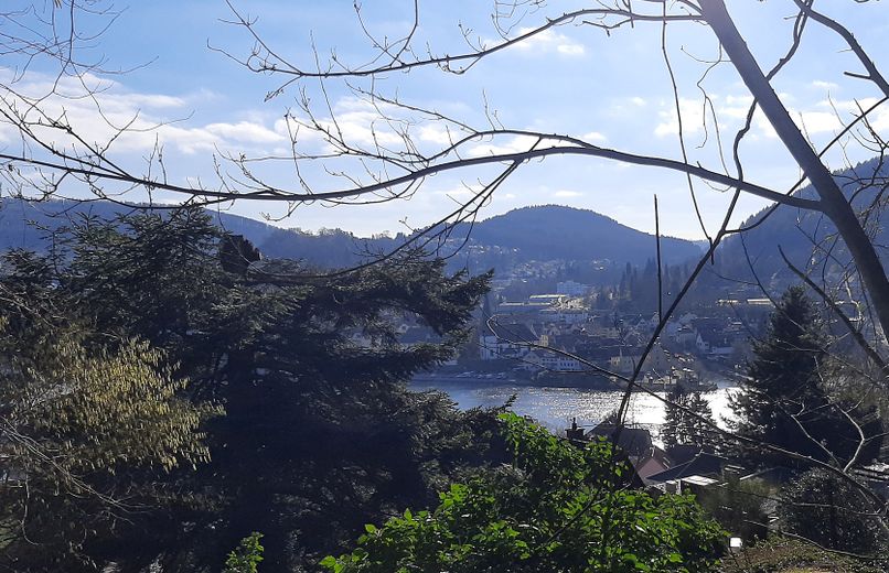 Baugrundstück mit Neckarblick in begehrter Lage von Kleingemünd – Aussicht auf den Neckar