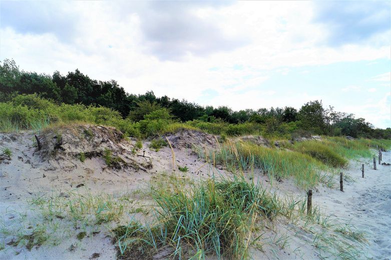 Dünenlandschaft am Naturstrand