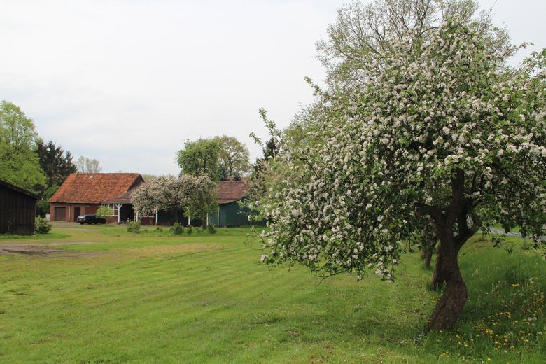 XL-gospodarstwo rolne nad jeziorem Vörder See! Działka 14.013 m² – miejsce dla zwierząt i na hobby – Blick zur Scheune