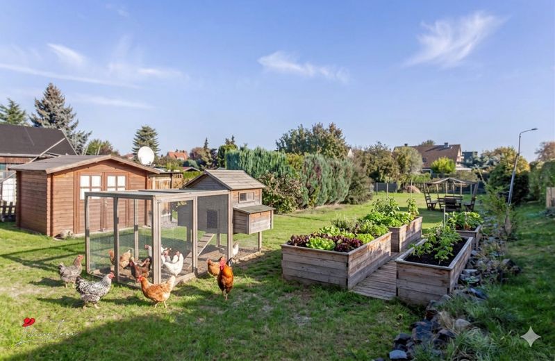 Garten (AI bearbeitet)