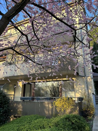 Wohnung in Bestlage mit Südbalkon - Erstbezug nach Sanierung – Außenansicht Balkon