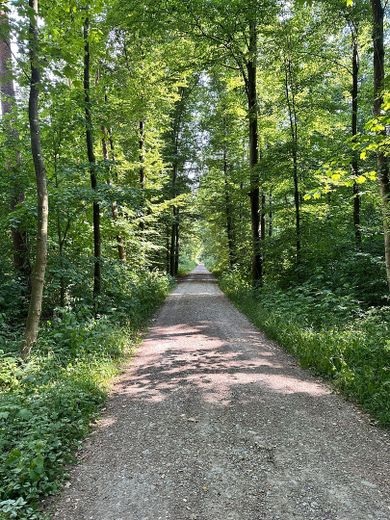 Wald nur 200 Meter entfernt