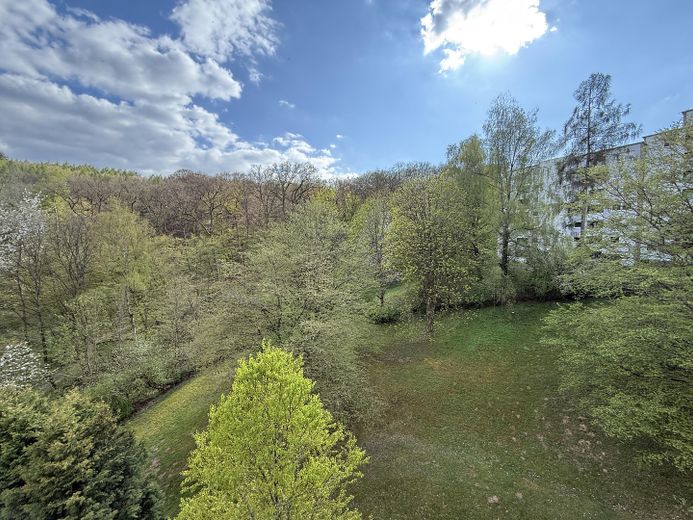 ***Direkt vom Eigentümer*** Großzügige Wohnung mit 2 Balkonen und Weitblick am Waldrand – Blick vom Balkon (nach Westen)