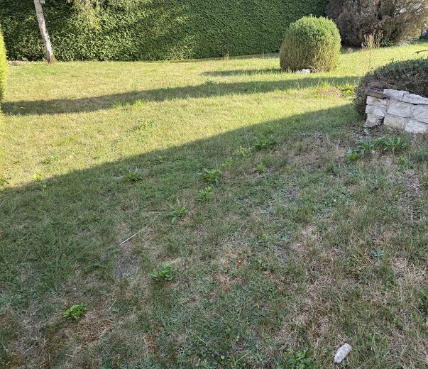 Baugrundstück Starnberg 4(5)