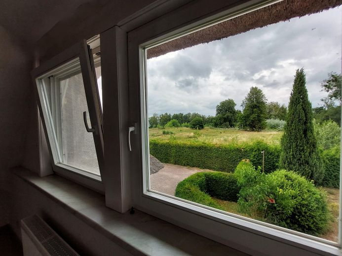 Blick aus dem Arbeitszimmer