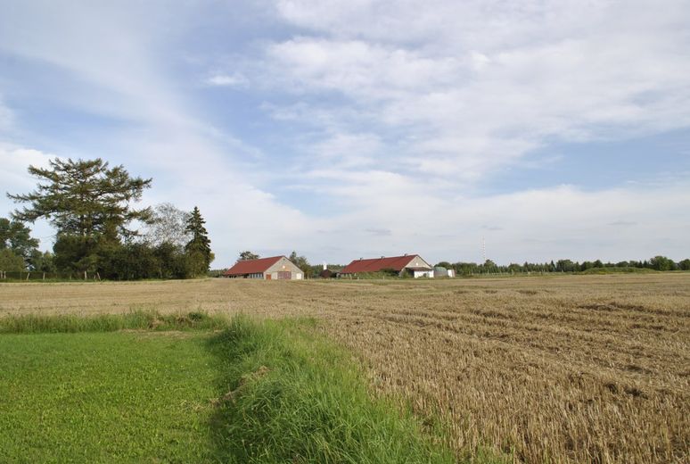 Marlow-OT, Reitanlage + Blockhütten in Ostseenähe – Foto 3