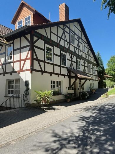 Kulturdenkmal Liedemühle - Alleinlage mit eigener Wasserkraft – Photo 6