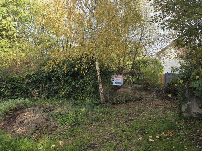 Nalbach-Bilsdorf: Großes Baugrundstück mit Baugenehmigung für Einfamilienhaus – Foto 1