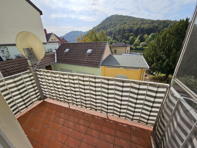 Balkon m. Blick auf den Neckar