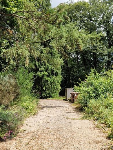 Zufahrtsweg Ansicht 1