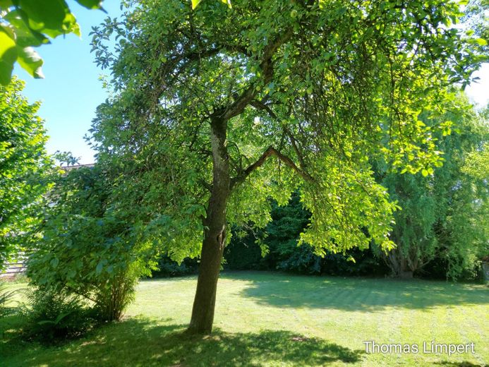 Bad Pyrmont, maison d’habitation – Photo 10