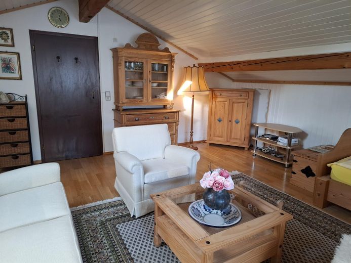 Möbliertes 1 Zimmer Appartment mit Bergblick – Wohnraum