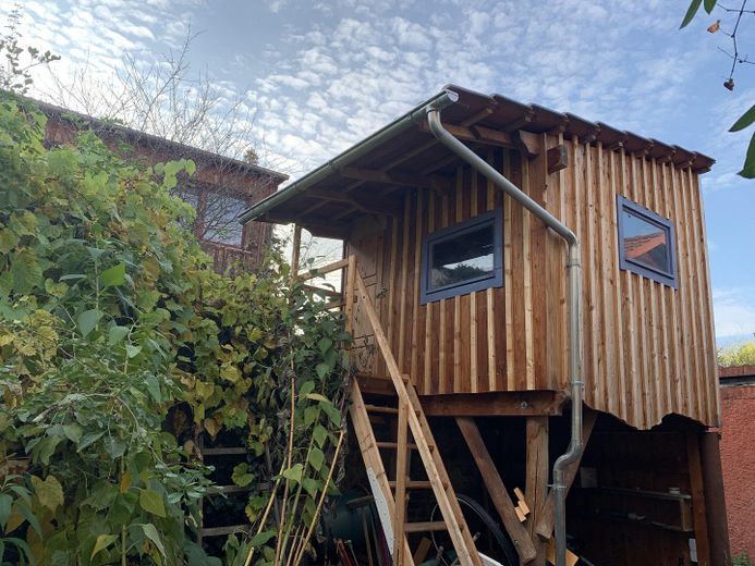 Baumhaus und Schuppen