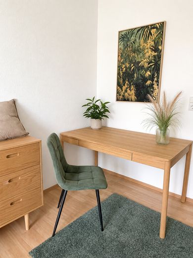 4er-Mädels-WG: Helles 14 m² Zimmer vollmöbliert – Zellerau an den Mainwiesen – Schreibtisch