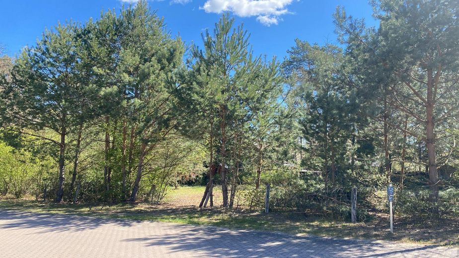 1.254 m² Baugrundstück nahe Stechlinsee – teilbar , ruhige Lage (provisionsfrei) – Foto 14