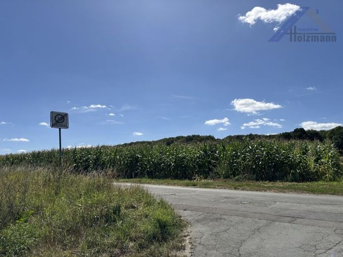 Landwirtschaftliche Fläche 17.911 m² in Kirchlengern, Südlengern-Dorf - Holzmann Immobilien – फोटो 1