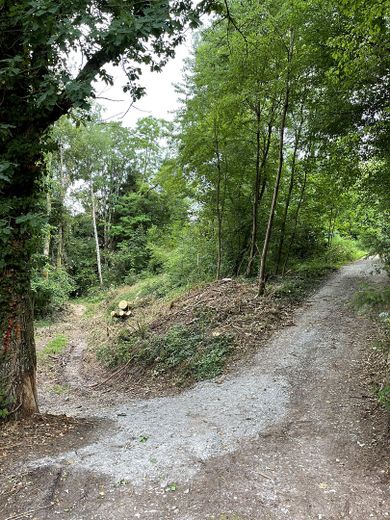 2 lotti edificabili per case in legno canadesi/terreno per casa di fine settimana ad Alfdorf (73553) – Foto 2
