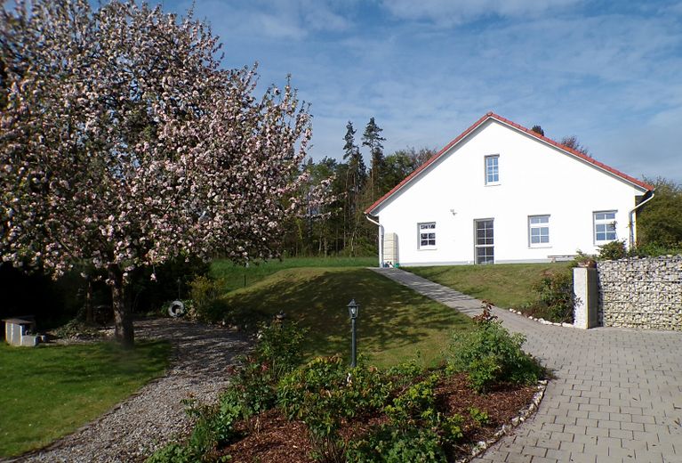 Garten mit Apfelbaum