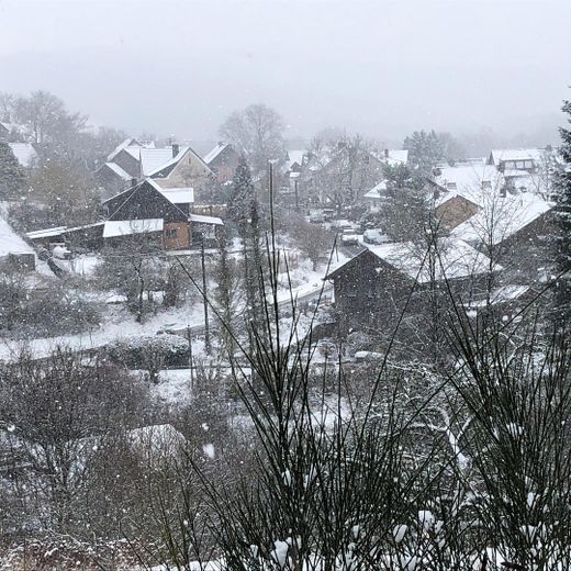 freistehendes Einfamilien, Vollholzhaus, kanadisches Blockhaus ökologische Bauweise, sehr gepflegt – Foto 30