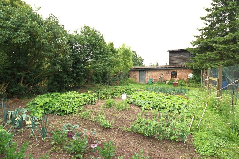 Garten/Wiese