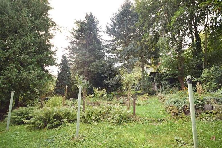 Garten hinter dem Haus