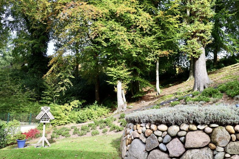 Waldcharakter hinter dem Haus