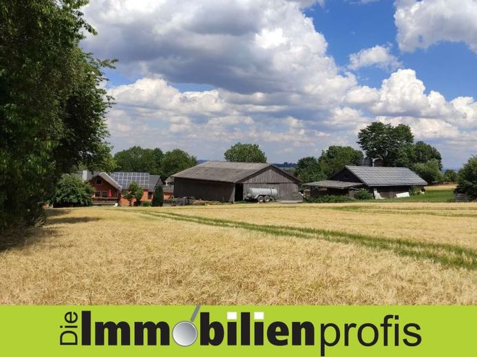 Nähe Hof: 1-2 Fam.Haus mit Scheune, Halle, Stall und Werkstatt – Foto 1