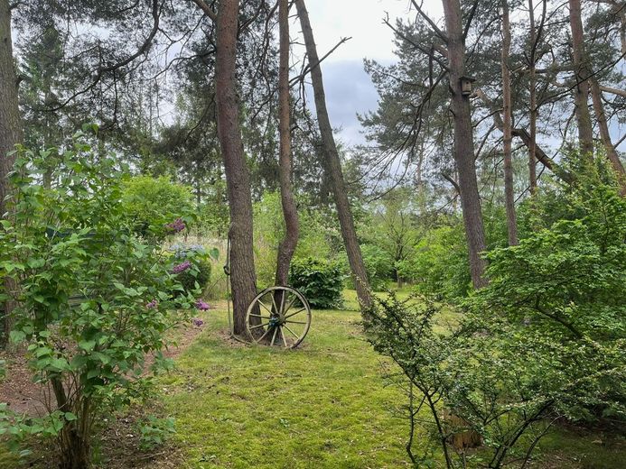 Blick aus dem Wohnzimmer