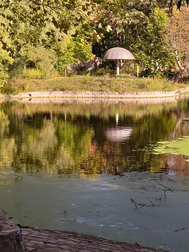 Ruhige 2-Zimmer-Altbauwohnung mit neuer Terrasse und grünem Innenhof – Teich im Park