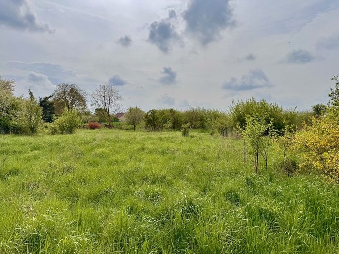HORN IMMOBILIEN++ Dreifamilienhaus in Penkun mit großem Grundstück – Grundstück