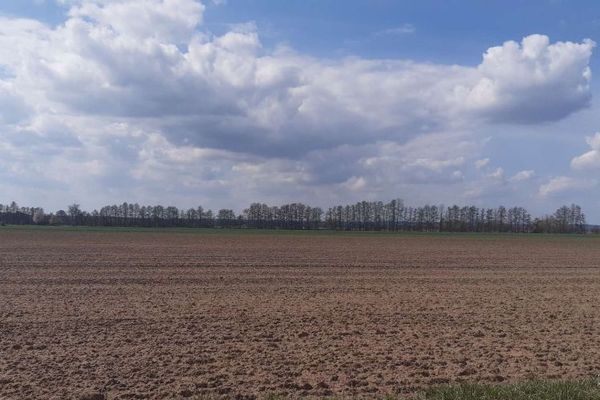 63,9 ha Acker- und Waldflächen in Trebitz und Brück