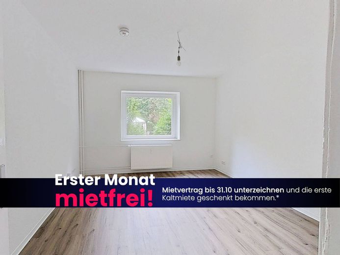 Draußen bläst der Herbstwind, bei uns schmelzen die Kosten - 1 NKM FREI: Schöne 3-Zimmer-Wohnung in fußläufiger Altstadtnähe – Foto 2
