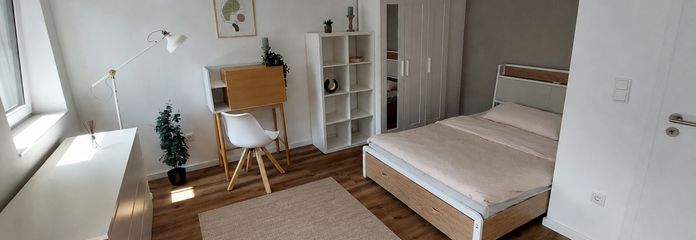 Hochwertiges Studio-Apartment in Mannheim Neckarstadt-West, vollmöbliert – Wohn-/Schlafbereich